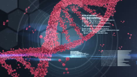 DNA-Schnittstelle