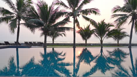 multiple palm trees reflect in the still water of a resort swimming pool