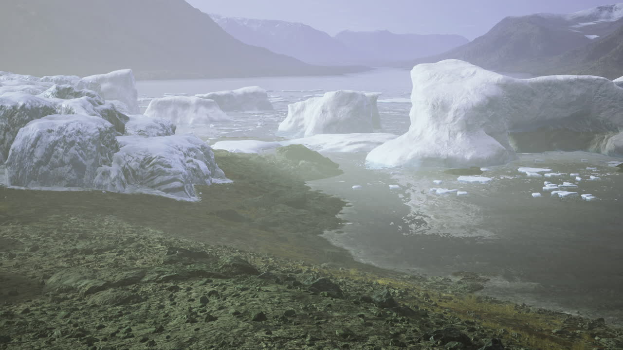 Icebergs float serenely in a quiet glacial bay during early morning light
