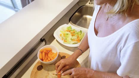 Woman-with-prosthetic-leg-cutting-carrot-on-chopping-board-4k