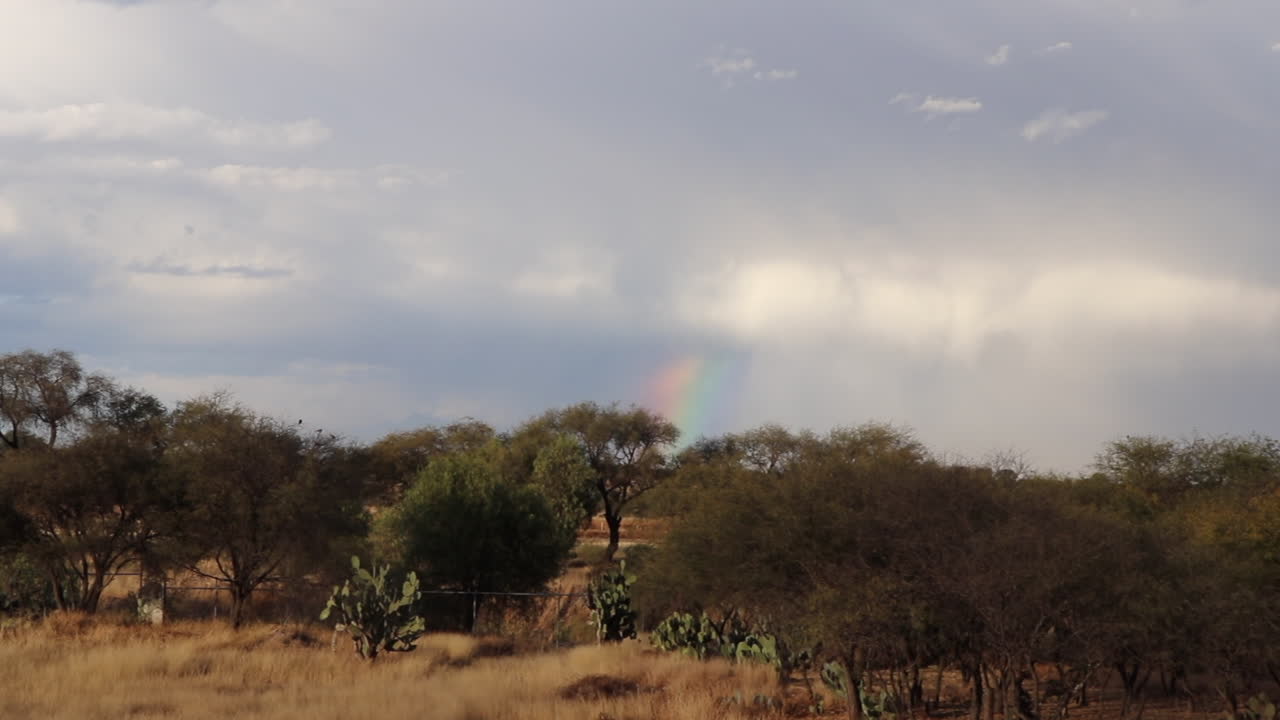 사막의 석양과 지구와 연결되는 무지개, 희망과 웅장하고 놀라운 세계