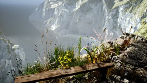 fresh grass at big rocky cliff in ocean