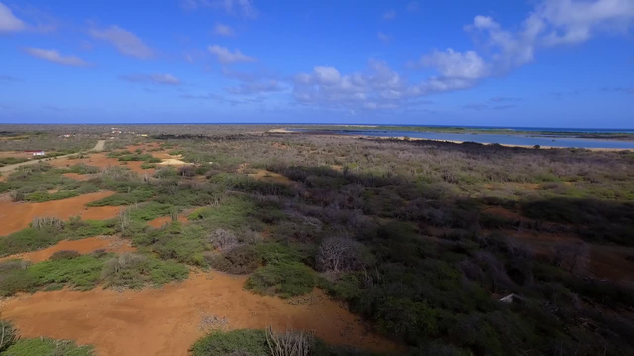 los manglares de la bahía lac durante la puesta de sol en bonaire
