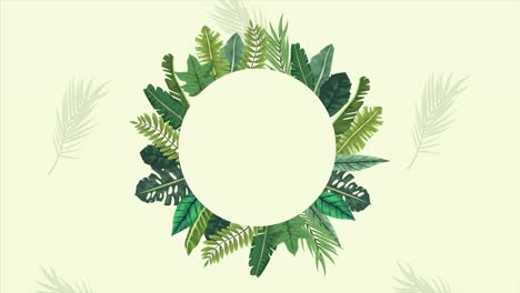 tropical exotics leafs ecology animation circular frame in green background