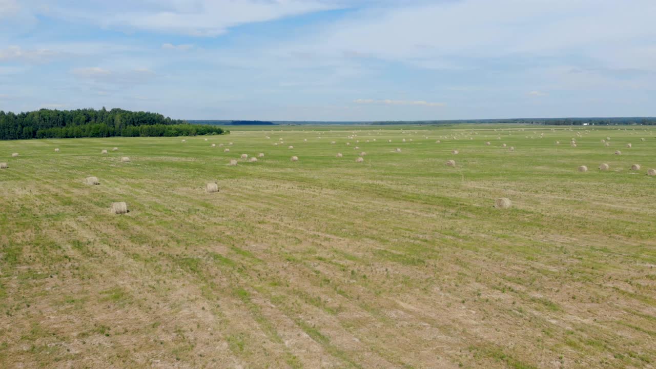 зеленое поле с стоками сена, вид с вершины.