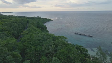 aerial view of coastal road and tropical shore of caribbean sea on jamaica