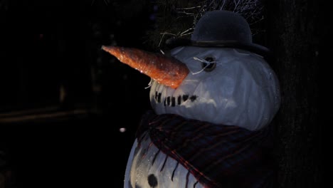 the snowman is illuminated in the dark