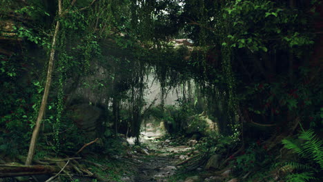 un camino misterioso a través de un bosque exuberante y cubierto de vegetación