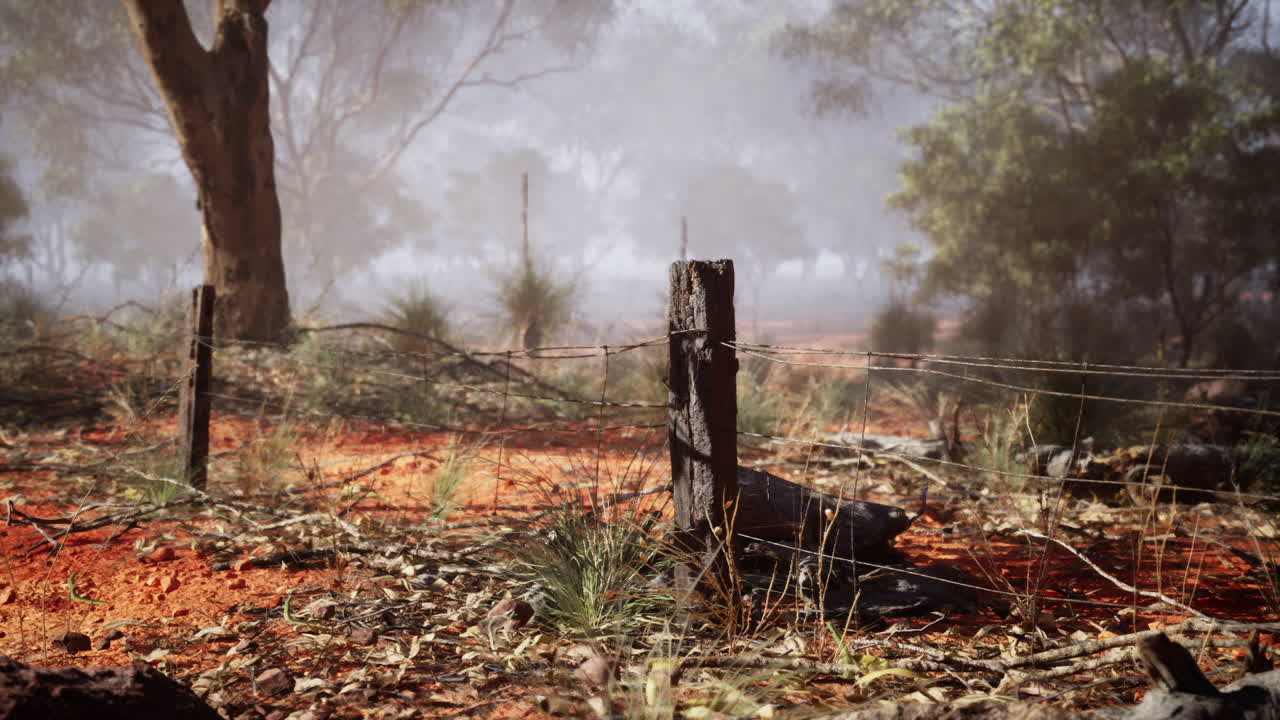 Ein einsamer Pfosten im nebligen australischen Outback