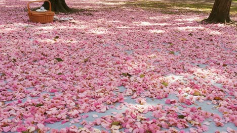 a serene picnic scene surrounded by a blanket of pink petals during a sunlit day, perfect for relaxation and enjoyment in nature