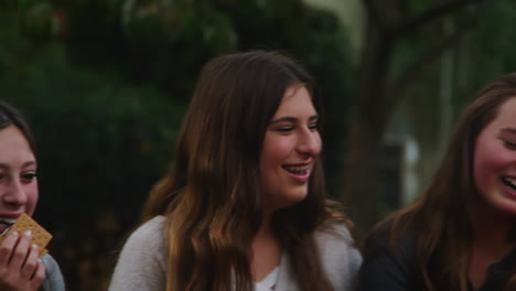 Teenage-friends-toasting-marshmallows-laughing,-close-up