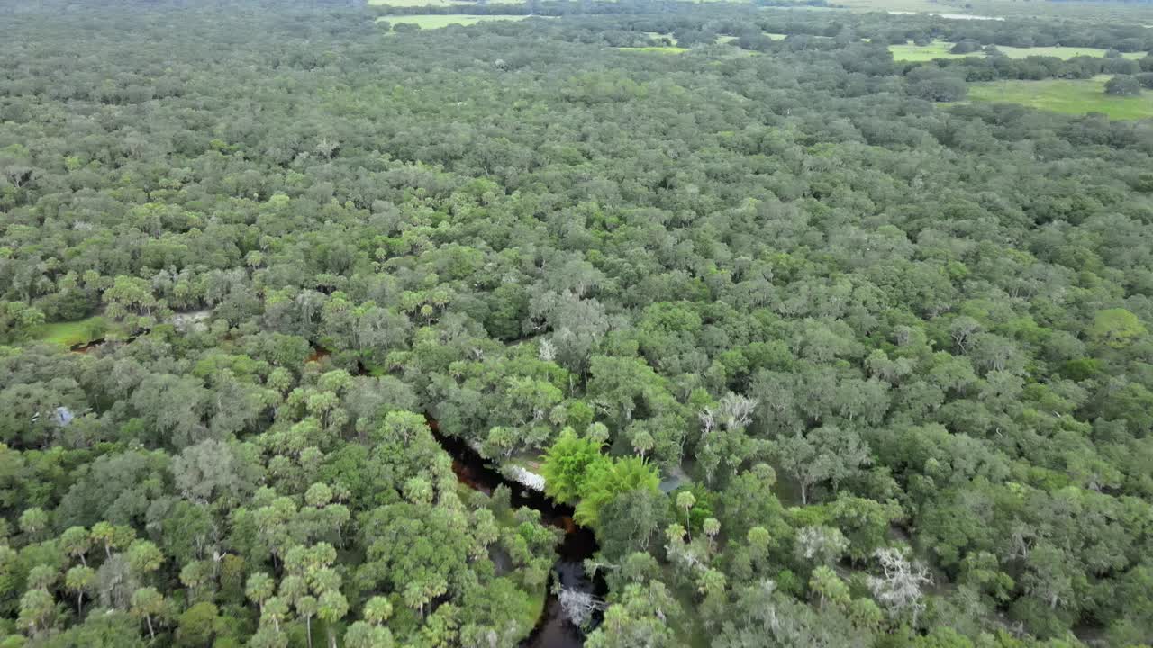 녹슨 강이 풍경을 흐르는 숲 위를 날다