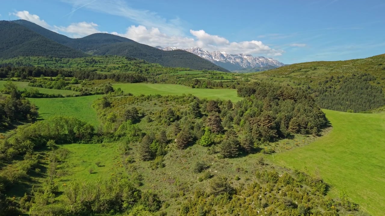 Vista aerea di una valle verde con foreste e montagne innevate