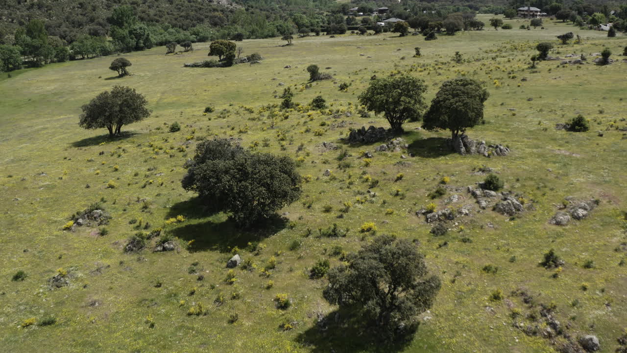 vista aérea de pájaro de los pastos de las tierras bajas para revelar el terreno alrededor de la sierra de guadarrama en el parque nacional de la pedriza españa