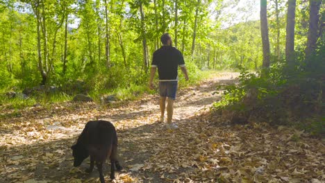 el joven camina con el perro.