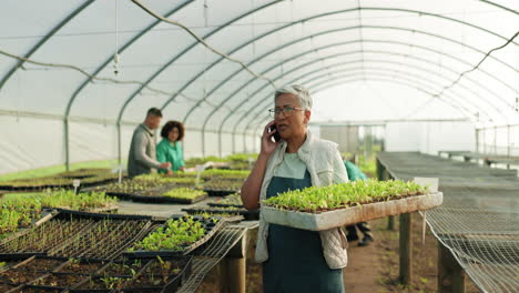 Vegetables-in-greenhouse,-phone-call