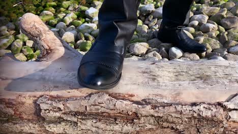 a musician puts his foot on an old withered tree by the lake