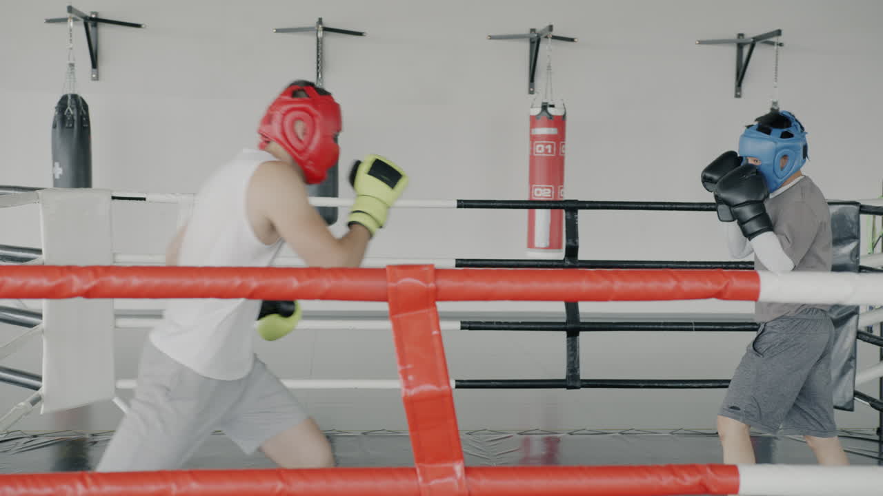 권투 훈련 세션