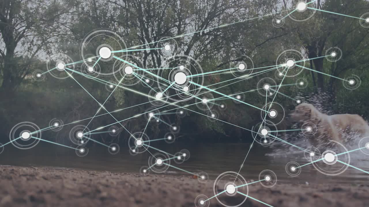 Glowing nodes appearing over shore expanding network tracking golden retriever running across water