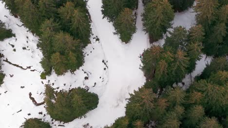 Los-Esquiadores-Se-Detienen-Y-Se-Encuentran-En-La-Pista-De-Esquí,-Giro-Brusco,-Estación-De-Montaña-De-Suiza.