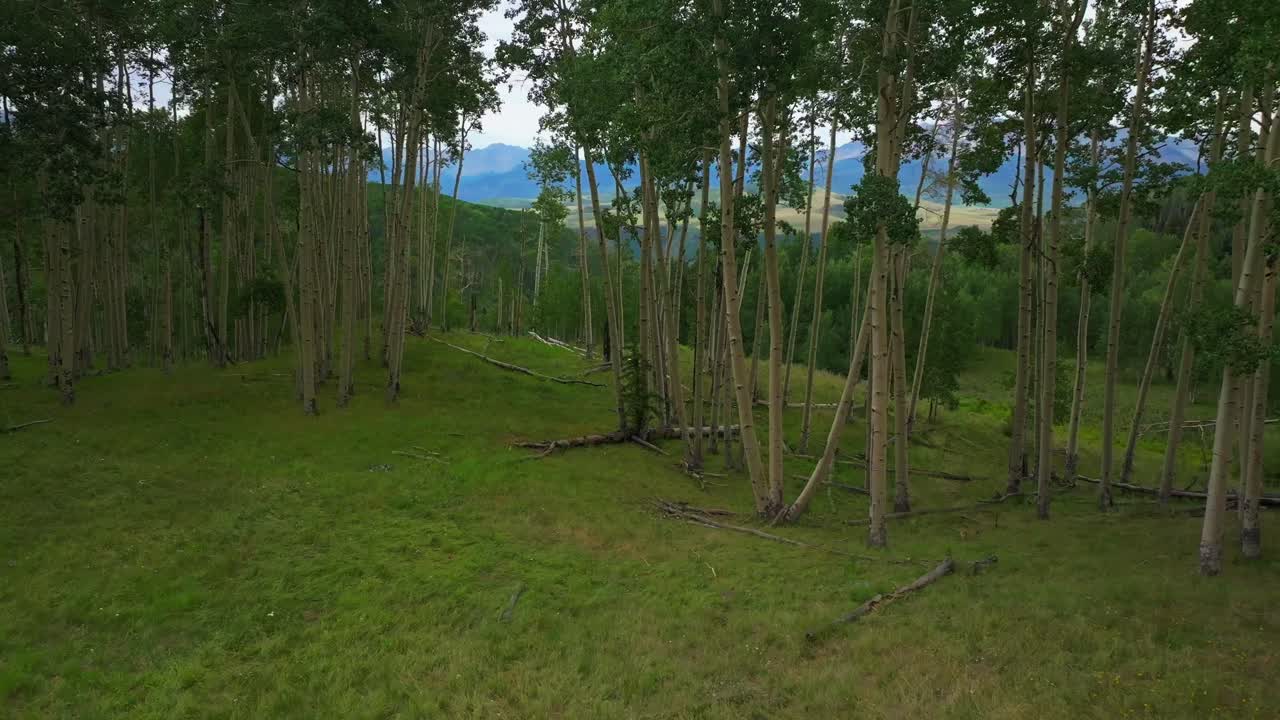 verano aeropuerto telluride colorado montañas rocosas avión no tripulado aéreo vista ridgway último dólar camino aspen árboles ranura bosque verde ouray silverton san juan monte sneffels gris nublado movimiento a la izquierda