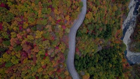 Una-Vista-De-Arriba-Hacia-Abajo-Del-Camino-Blanco-En-Los-Alpes-Japoneses