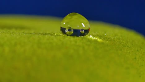 water drop on green surface