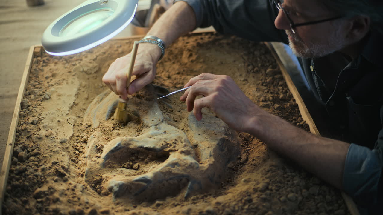 Paleontologist Excavating a Fossil