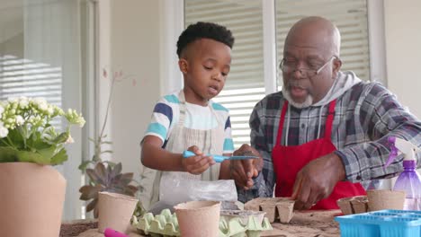 African-american-grandfather-and-grandson-talking,-planting-flowers-on-balcony,-slow-motion