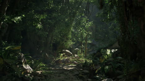 a lush and verdant jungle path with sunlight shining through the dense canopy