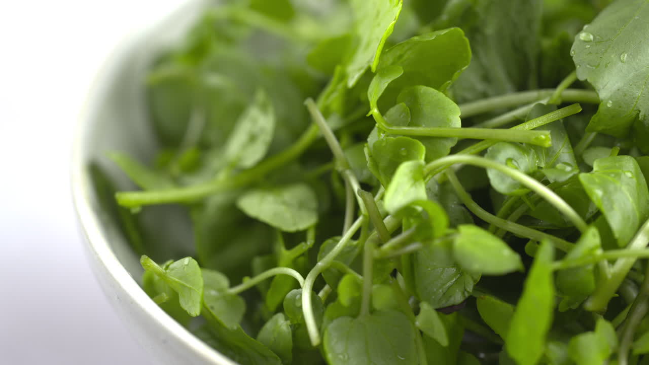 Watercress Rotating In Bowl. Macro 4k Shot Of Organic Plant Based Raw Vegan Salad Food. Green Fresh Recipes. Spinning Watercress On Plate. Healthy Vegetarian Vegetarian Recipes