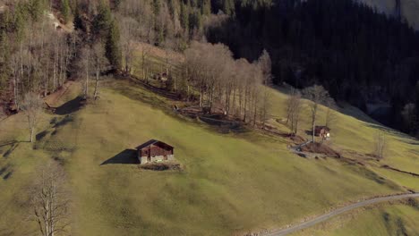 Luftanflug-Eines-Chalets-An-Einem-Hang-Mit-Bäumen-Im-Hintergrund