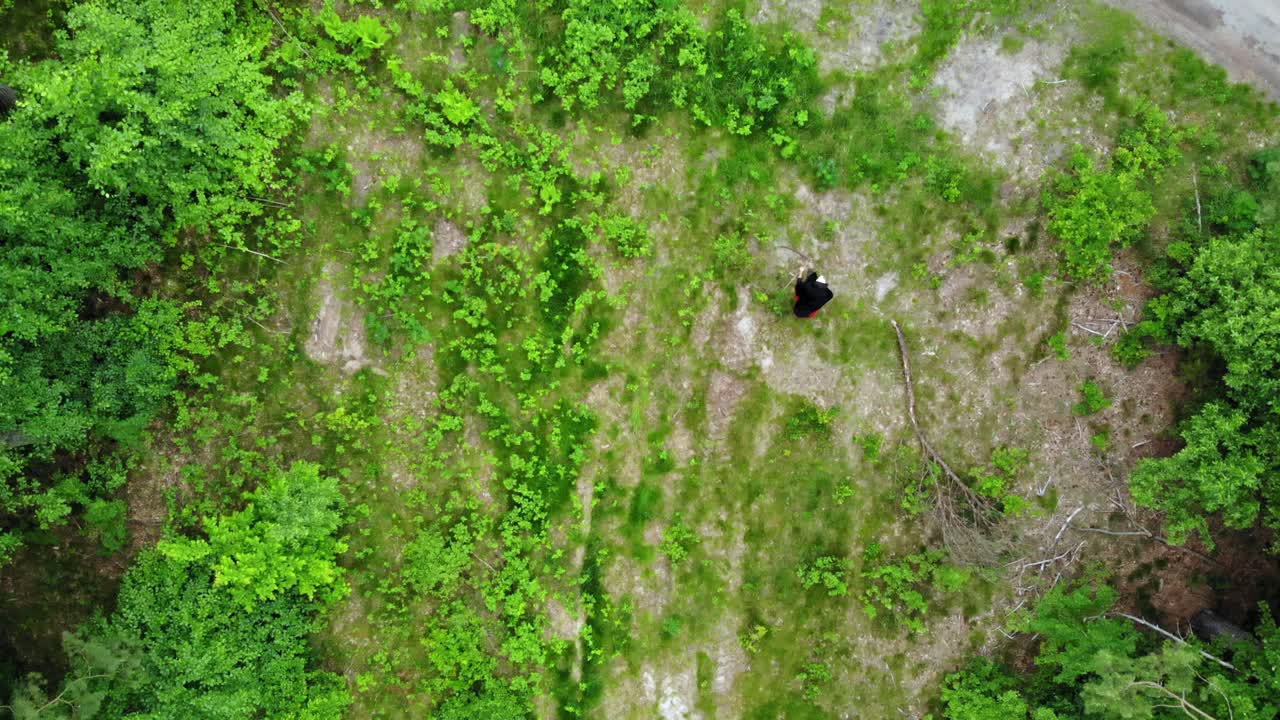 un ángel de la muerte está buscando alma en el bosque profundo