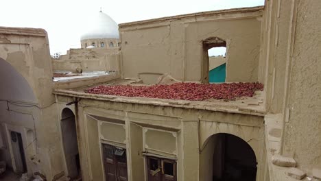 natural dry pomegranate red skin pills on rooftop old ruins of historical house in desert town iran city of ardakan aqda yazd traditional handmade carpet dye dyeing skill fabric coloring persian rug