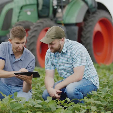 los jóvenes agricultores se comunican en el campo usando una tableta 1