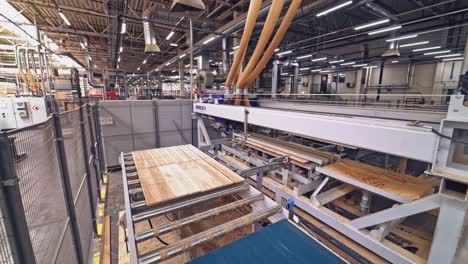 modern production of parquet board. industrial production line.