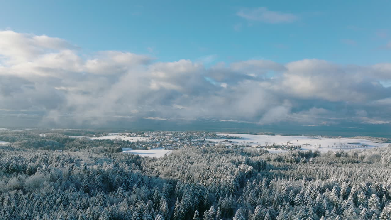 스위스를 배경으로 프로이드빌 마을이 있는 눈 덮인 소나무 숲 - 공중 드론 샷