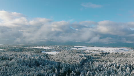 Bosque-De-Pinos-Nevados-Con-La-Aldea-De-Froideville-En-Segundo-Plano-En-Suiza---Toma-Aérea-De-Drones