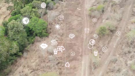 vista aérea futurista de drones de la cobertura forestal