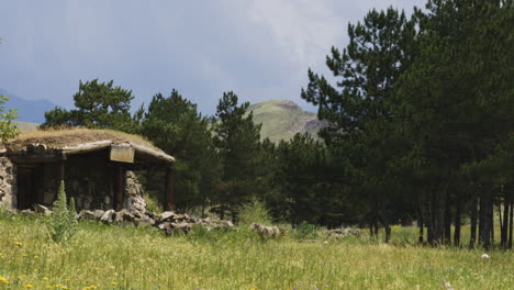 small cabin hidden in forest, resembling a hobbit dwelling from fantasy world