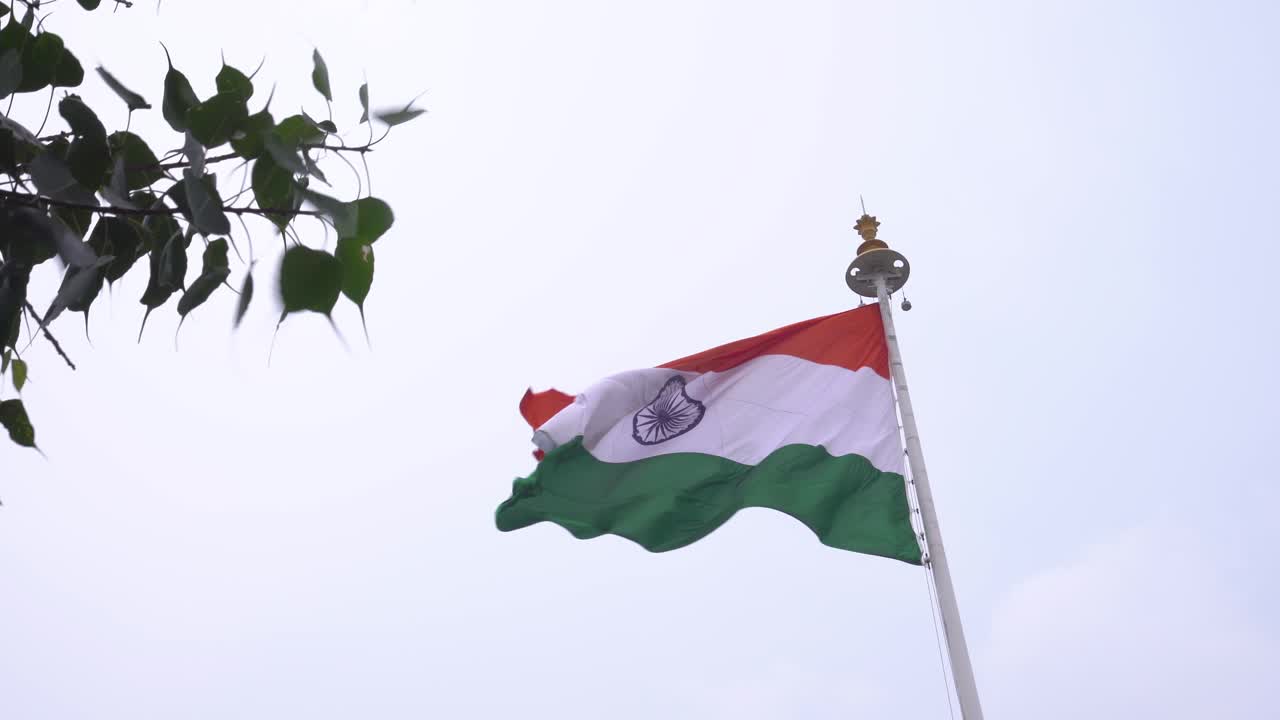 인도 국기가 펄럭이다