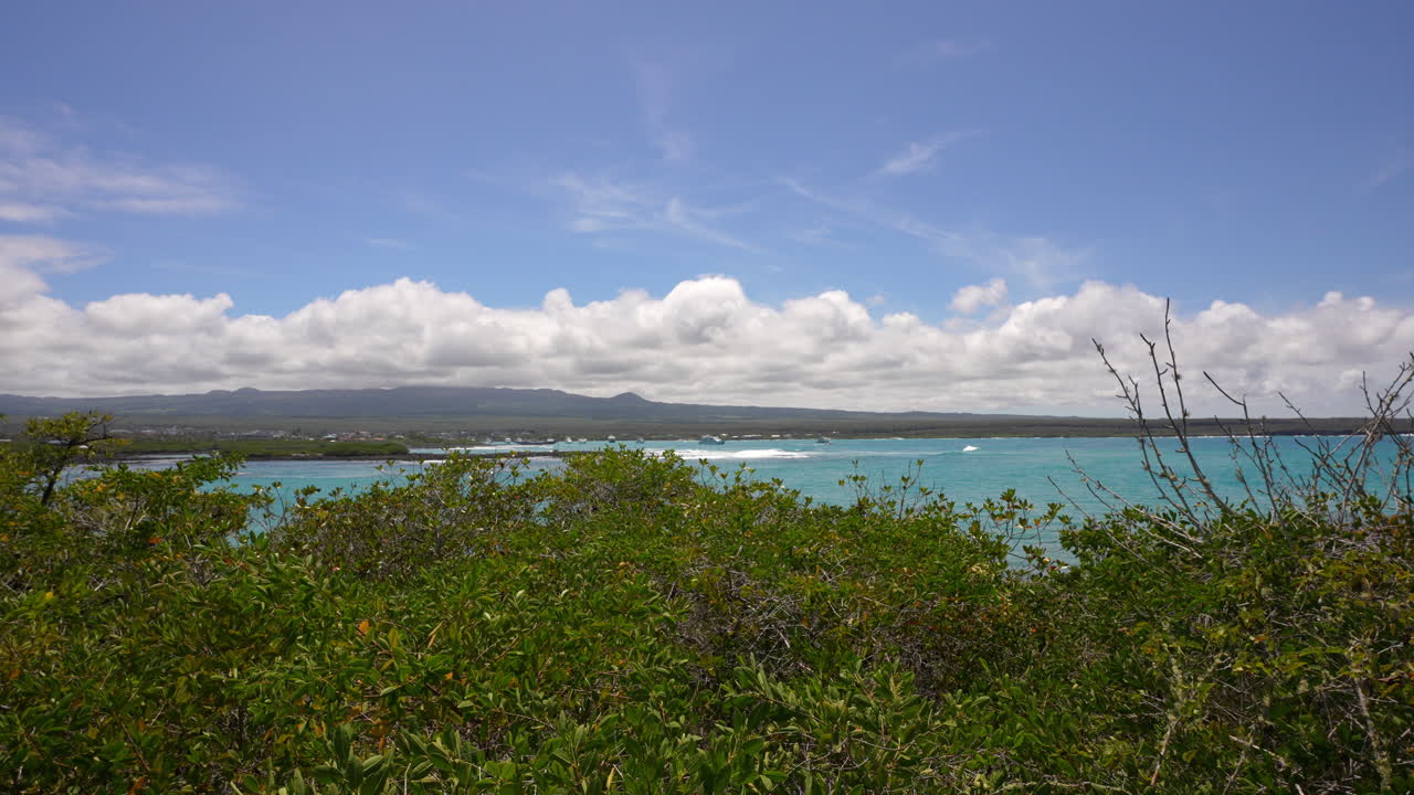 Green Plant Vegetation Bushes With Turquoise Ocean Waters In Distant On Santa Cruz Island In The Galapagos. Slow Pan Right