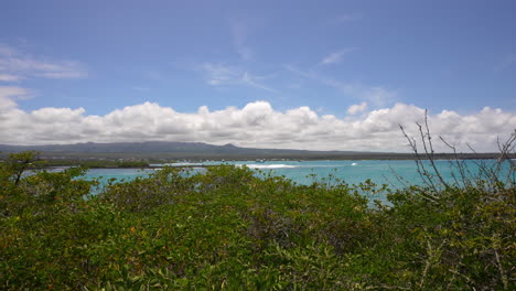 green plant vegetation bushes with turquoise ocean waters in distant on santa cruz island in the galapagos. slow pan right