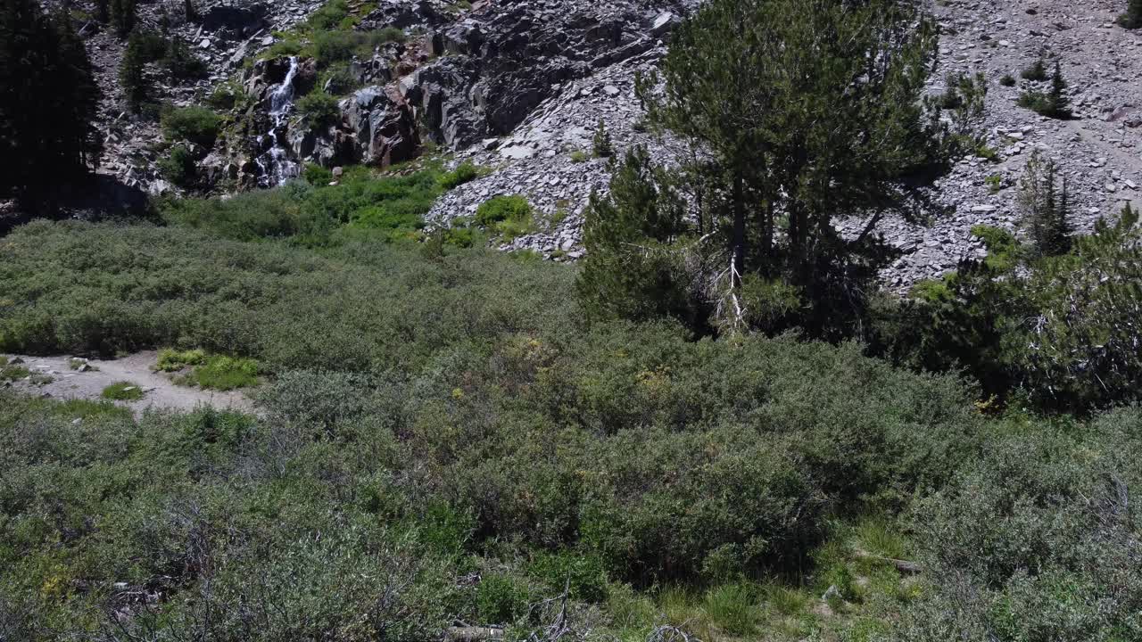 excursionista caminando detrás de arbustos y árboles con una pequeña cascada en el fondo