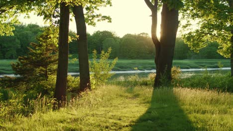 Drohne,-Die-Langsam-Im-Goldenen-Abendlicht-Mit-Herumwirbelnden-Käfern-Und-Einem-Fluss-Und-Bäumen-Gleitet