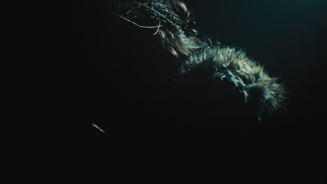 a creepy witch stands in the moody pose during the night storm