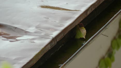 rainy day with gutter leaf