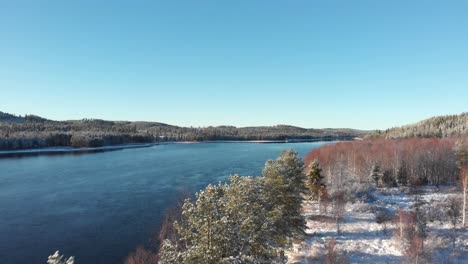 snowy winter pine and fir forest surrounding the cold vindel river near björksele, sweden - fly-over reveal aerial shot