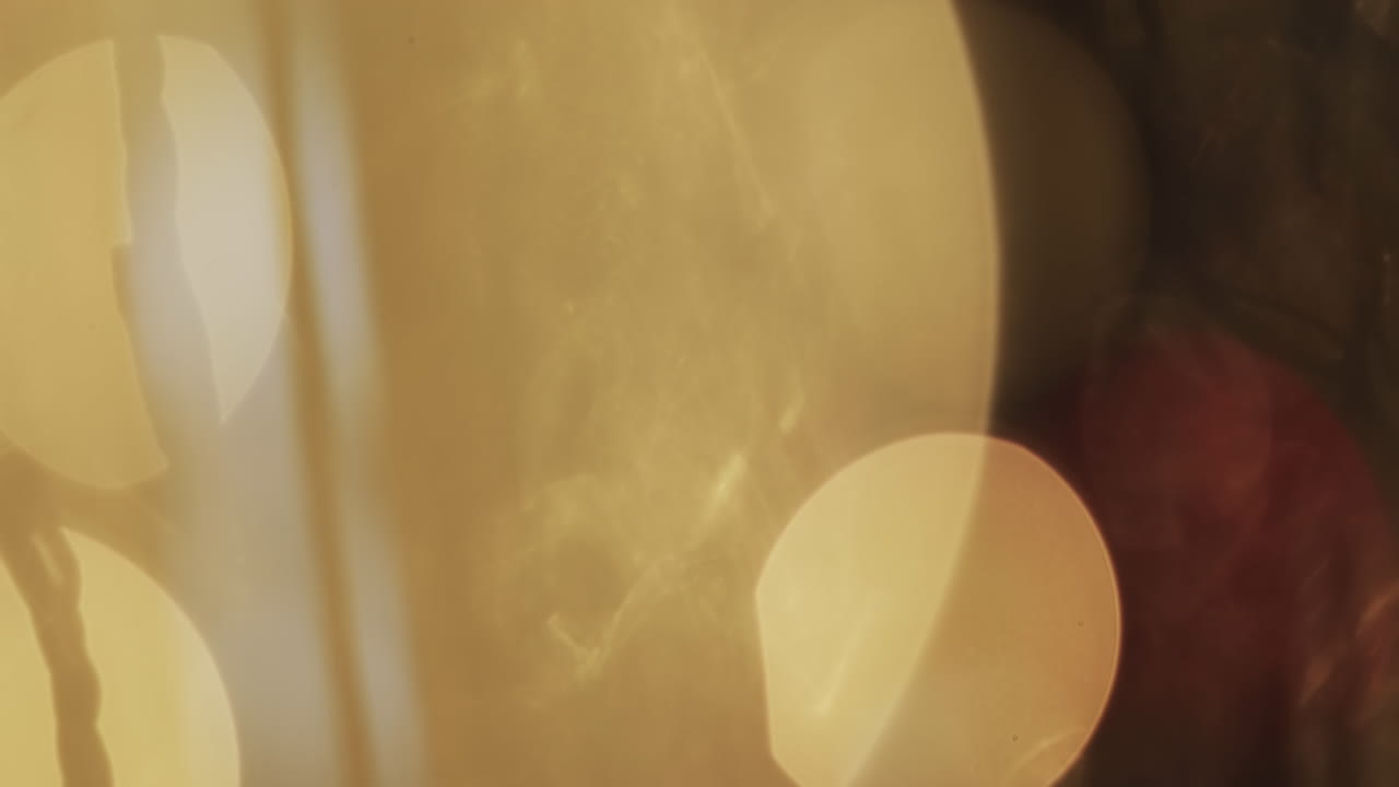 복사 공간과 함께  ⁇ 박이는 노란색 보케 스 ⁇ 의 비디오