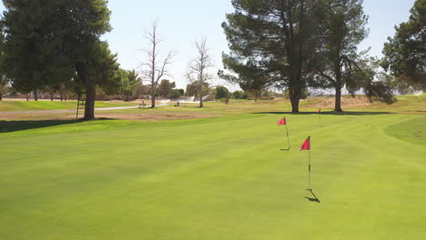 practice putting and chipping green at a community golf course